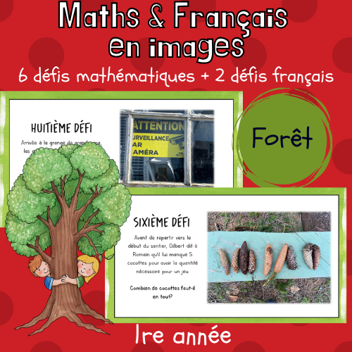Maths par l'image - Forêt (1re)