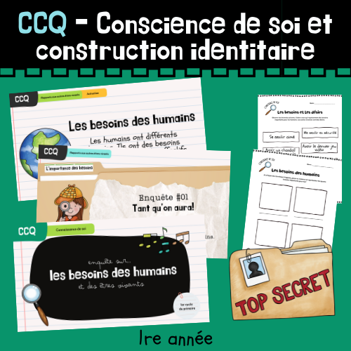 CCQ - Enquête - Les types de besoins (1re)