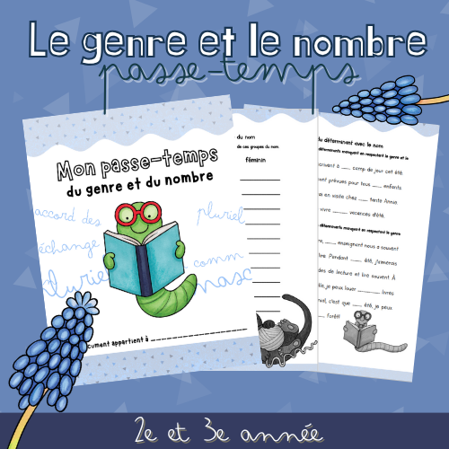 Document Passe-temps - Le genre et le nombre (2e ou 3e)