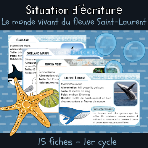 Situation d'écriture - Le fleuve St-Laurent