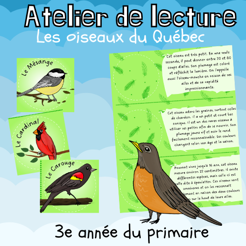 Atelier de lecture - Les oiseaux du Québec (3e)