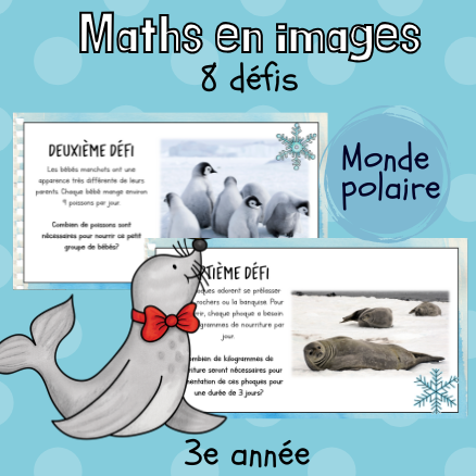 Maths par l'image - Monde polaire (3e) Partie 2