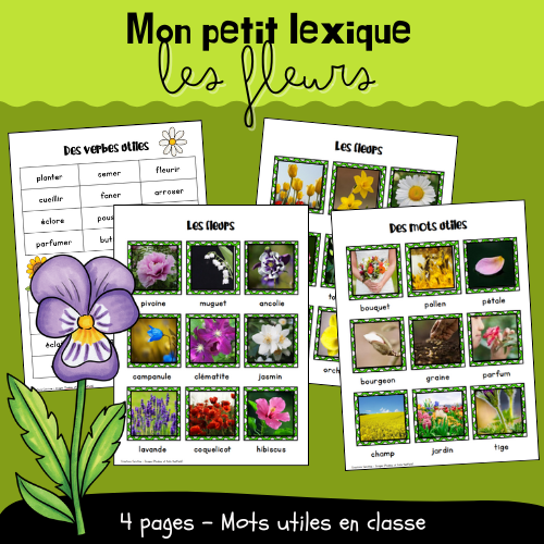 Mon petit lexique - Les fleurs