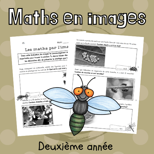 Évaluation - Maths par l'image - Les insectes (2e)