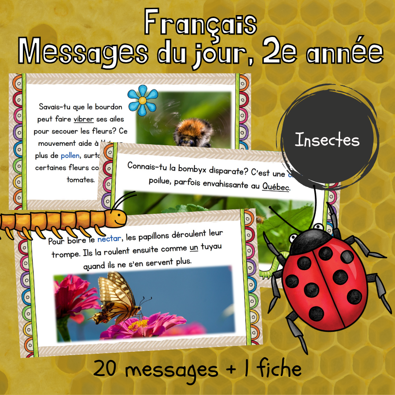 20 messages du jour - Les insectes