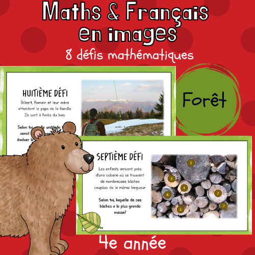 Maths par l'image - Forêt (4e)