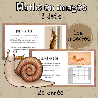 Maths par l'image - Les insectes (2e)