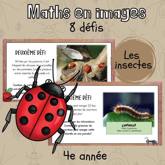Maths par l'image - Les insectes (4e)