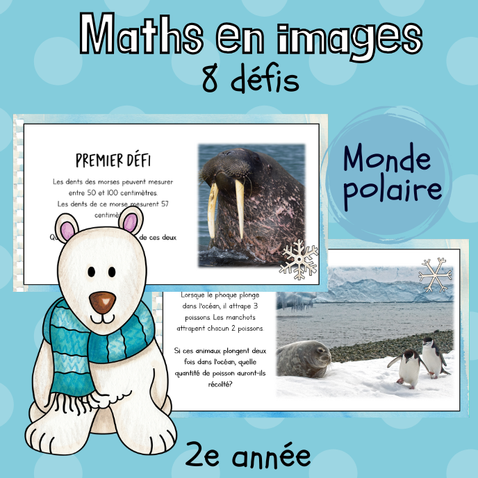 Maths par l'image - Monde polaire (2e) Partie 2