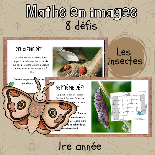 Maths par l'image - Les insectes (1re)