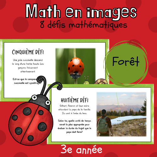 Maths par l'image - Forêt (3e)