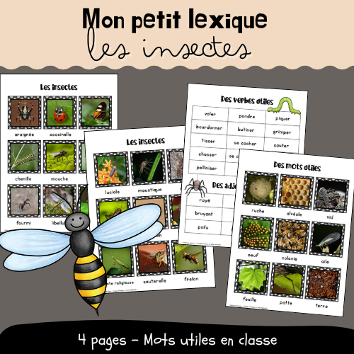 Mon petit lexique - Les insectes