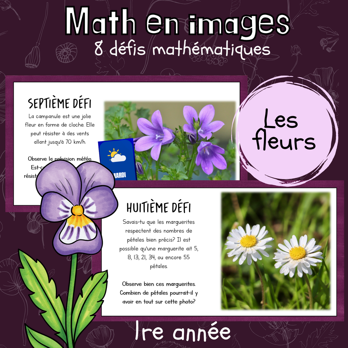 Maths par l'image - Fleurs (1re)
