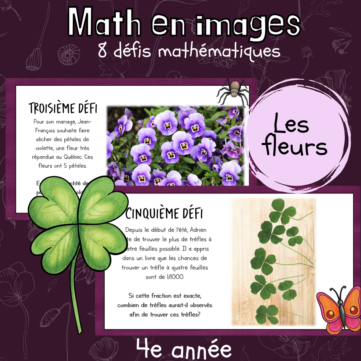 Maths par l'image - Fleurs (4e)