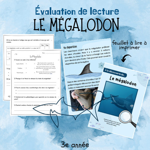 Évaluation de lecture  - Le mégalodon (3e)