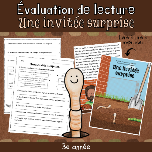 Évaluation de lecture - Une invitée surprise (3e)