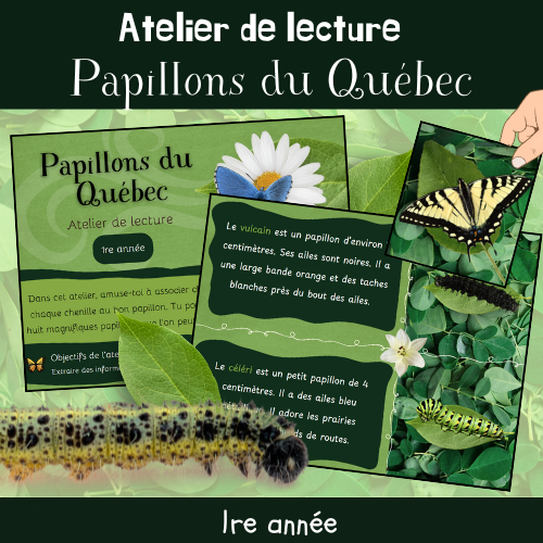 Atelier de lecture - Papillons du Québec (1re)