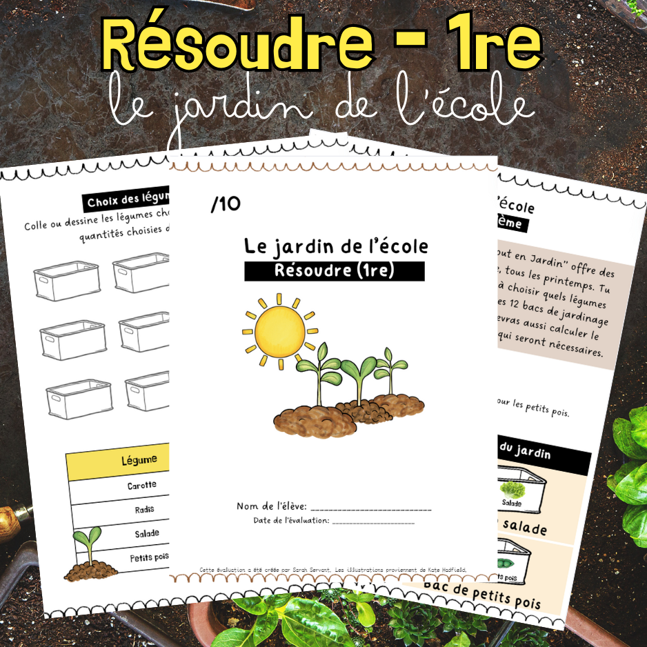 Situation-problème - Le jardin de l'école (1re)