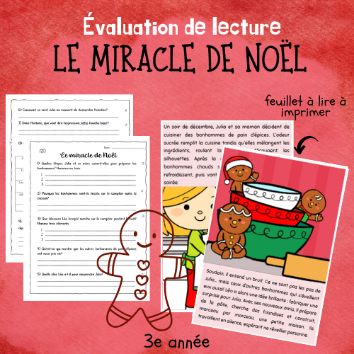 Évaluation de lecture - Le miracle de Noël (3e)