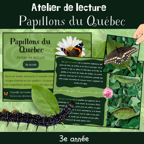 Atelier de lecture - Papillons du Québec (3e)