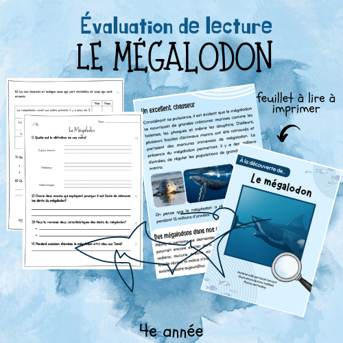 Évaluation de lecture  - Le mégalodon (4e)