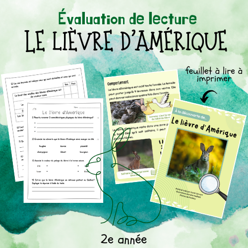 Évaluation de lecture  - Le lièvre d'Amérique (2e)