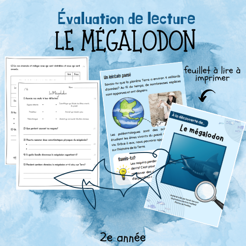 Évaluation de lecture  - Le mégalodon (2e)
