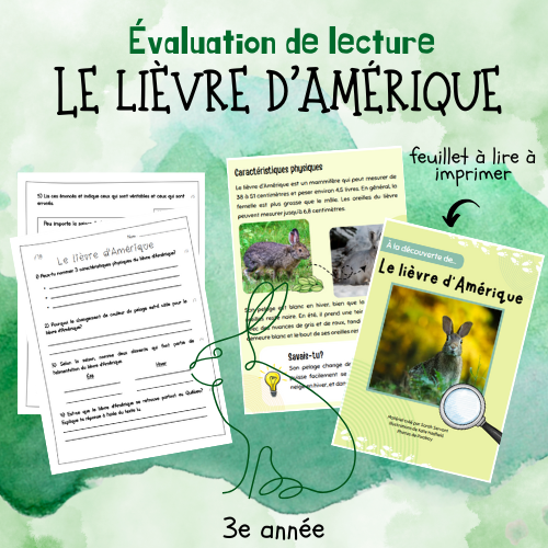 Évaluation de lecture  - Le lièvre d'Amérique (3e)