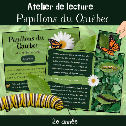 Atelier de lecture - Papillons du Québec (2e)