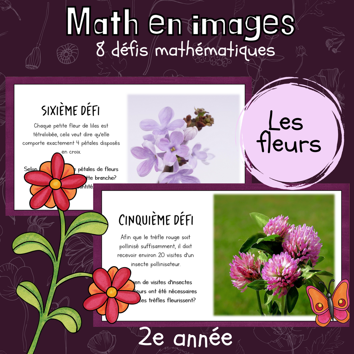 Maths par l'image - Fleurs (2e)