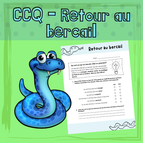 CCQ - Retour au bercail