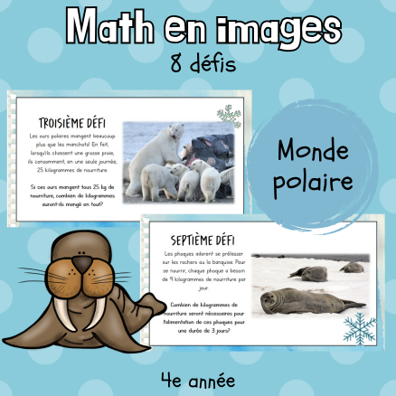 Maths par l'image - Monde polaire (4e) Partie 2