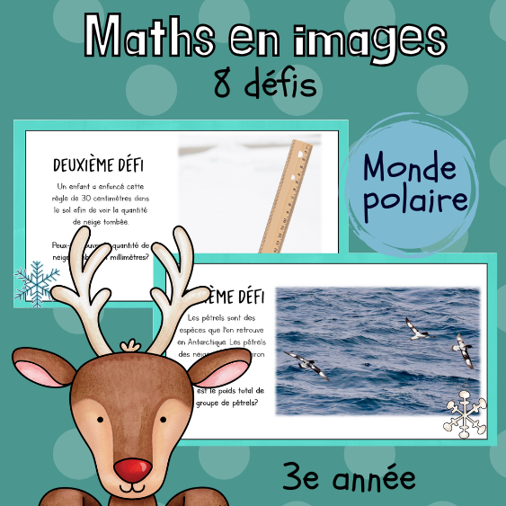 Maths par l'image - Monde polaire (3e) Partie 1
