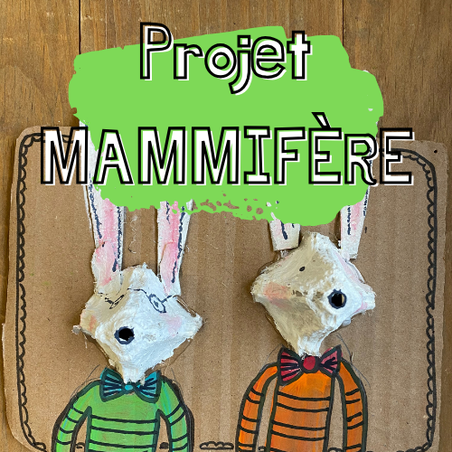 Projet - Mammifères (1er et 2e cycle)