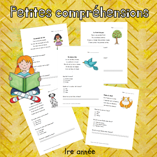 Petites compréhensions de texte (1re)