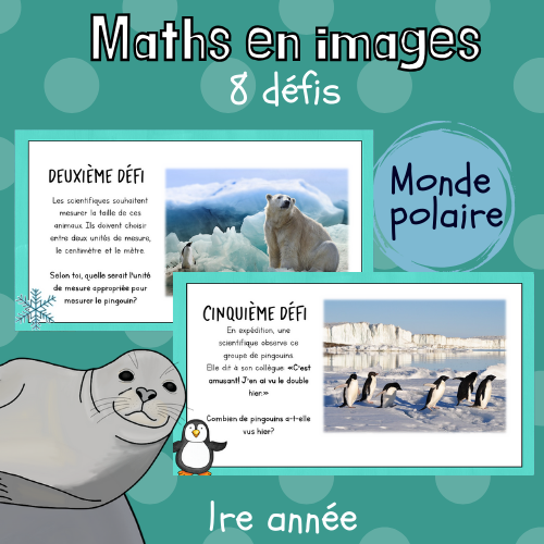 Math par l'image - Monde polaire (partie 2)