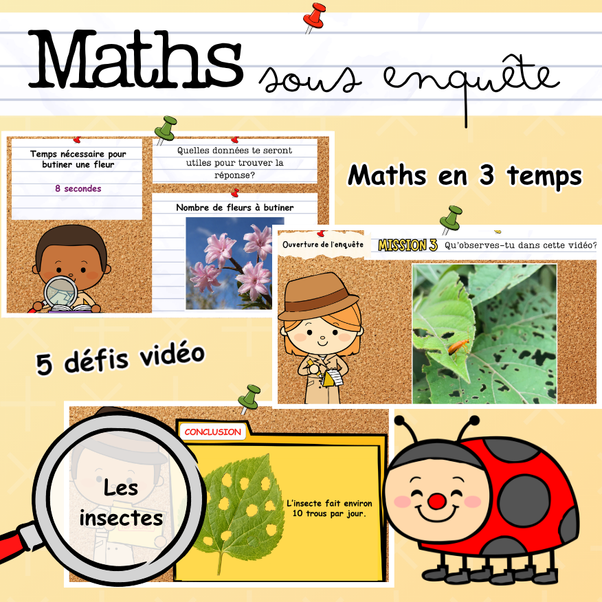 Maths en 3 temps - Les insectes (1er cycle)