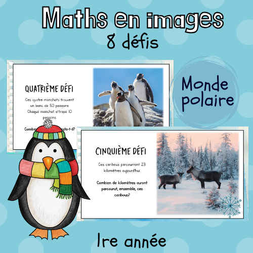 Math par l'image - Monde polaire (partie 2)
