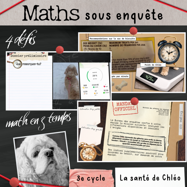 Maths en 3 temps - Santé animale (3e cycle)