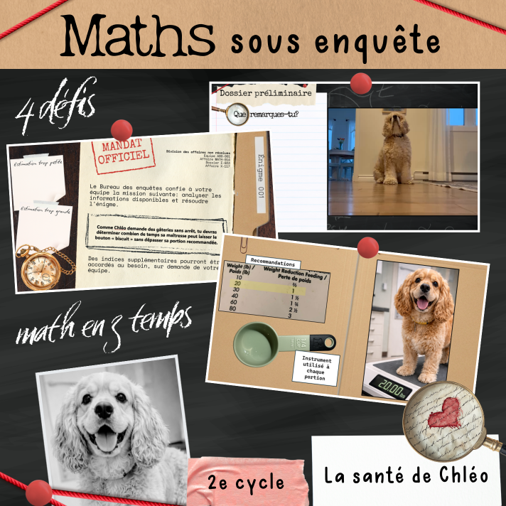 Maths en 3 temps - Santé animale (2e cycle)