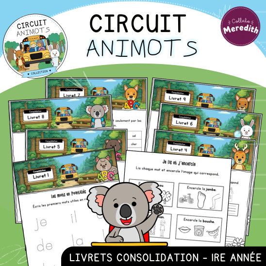 Livrets de consolidation