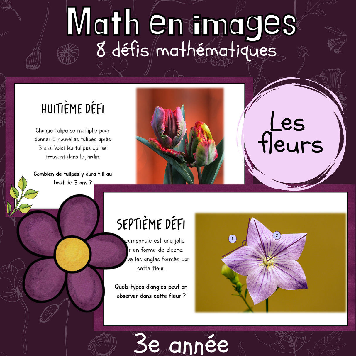 Maths par l'image - Fleurs (3e)