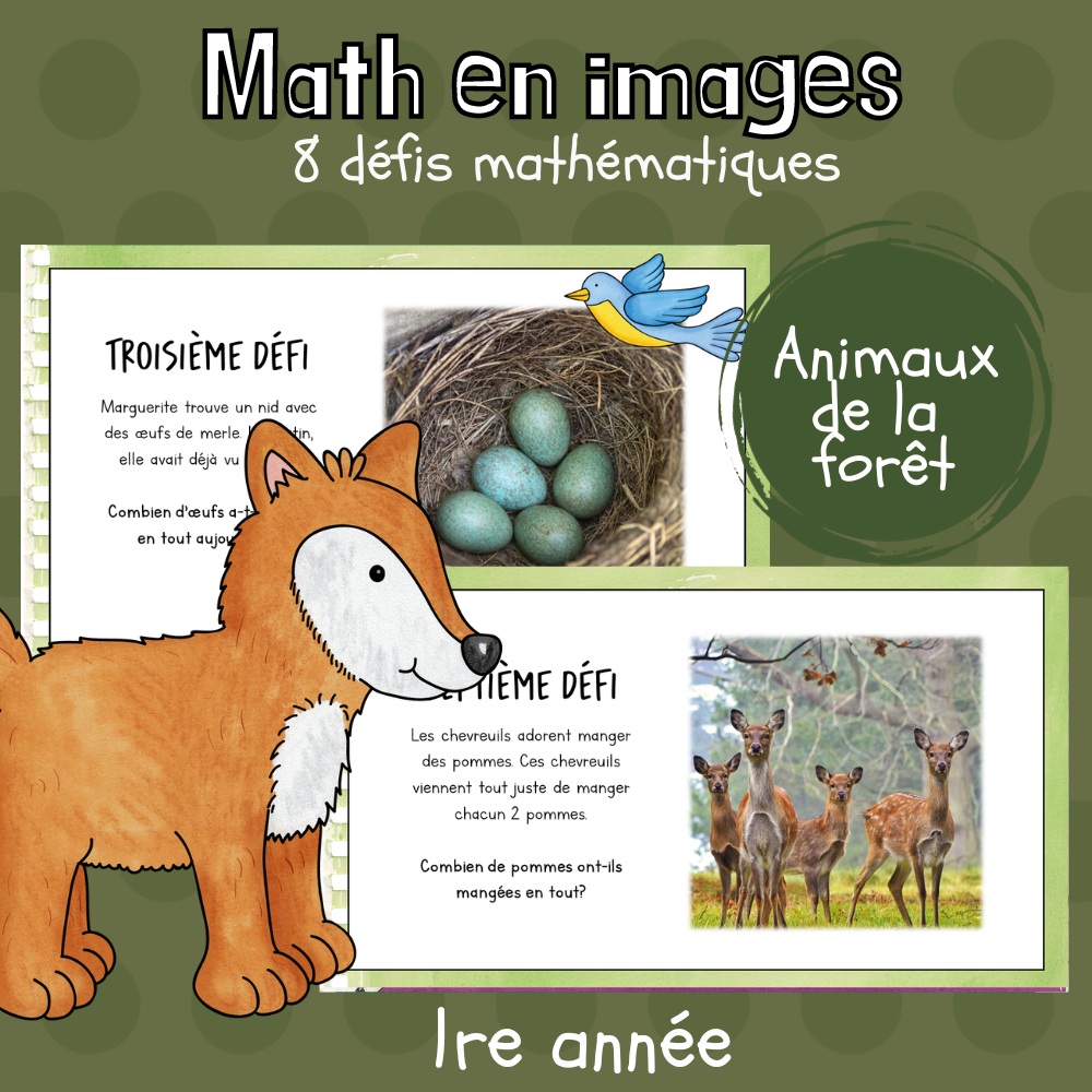 Maths par l'image - Les animaux de la forêt (1re)