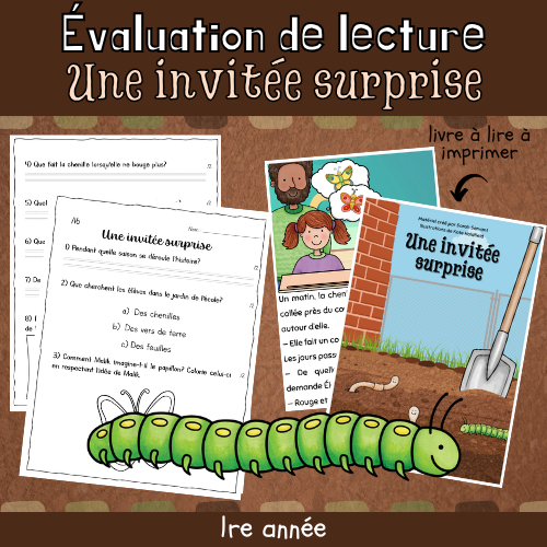 Évaluation de lecture - Une invitée surprise