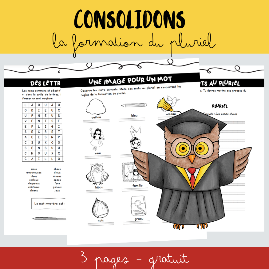 Document - Consolidons - Formation du pluriel