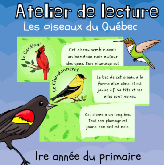 Atelier de lecture - Les oiseaux du Québec