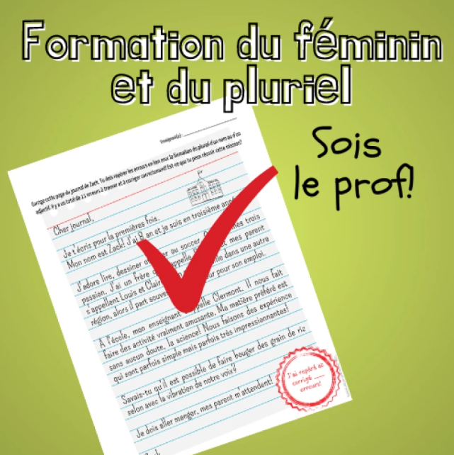 Formation du féminin et du pluriel - Sois le prof!