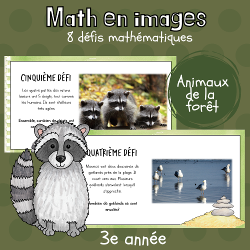Maths par l'image - Animaux de la forêt (3e)