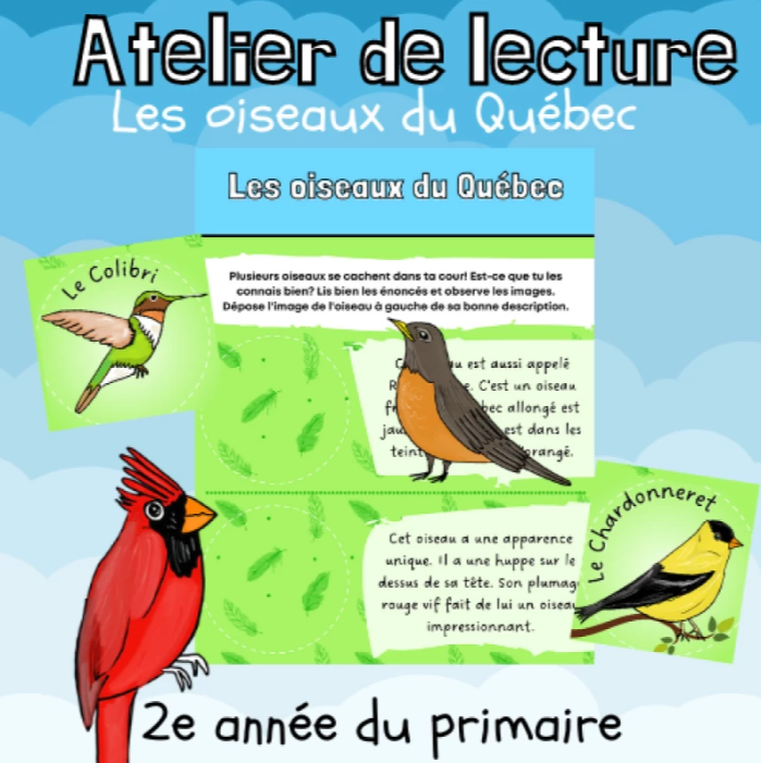 Atelier de lecture - Les oiseaux du Québec