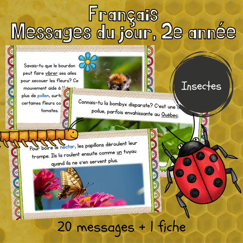 Messages du jour - Les insectes